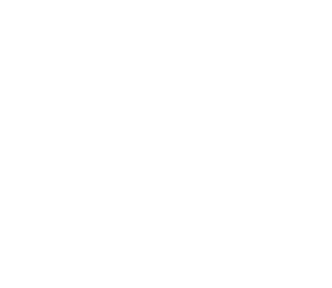 OPTIFISC